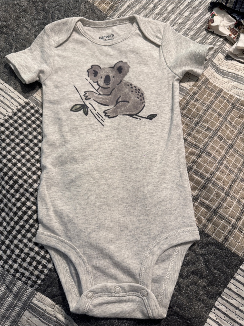 Baby Onesies (set of 2)
